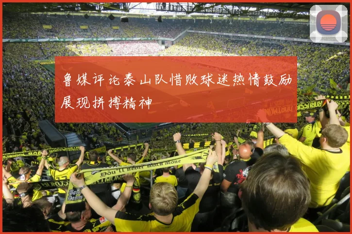 鲁媒评论泰山队惜败球迷热情鼓励展现拼搏精神